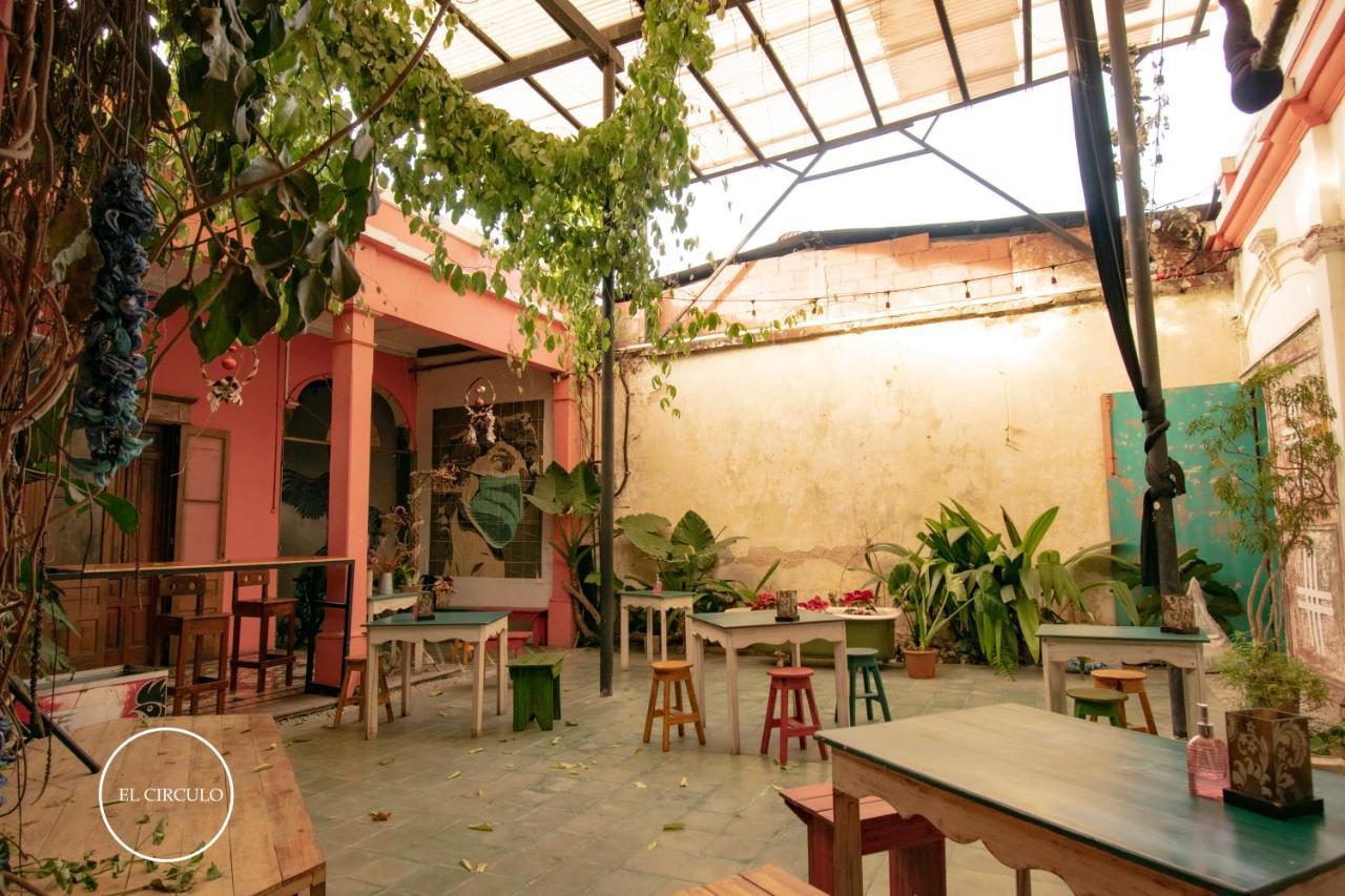 Hermoso Loft En El Circulo Guatemala City Eksteriør bilde